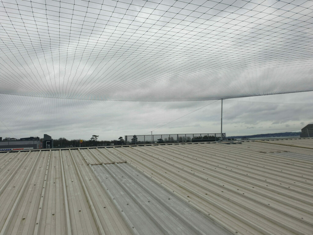 bird netting job in Belfast