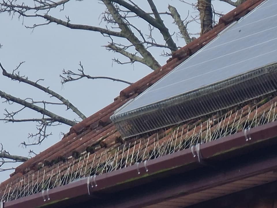 pigeon proofing solar panel installation