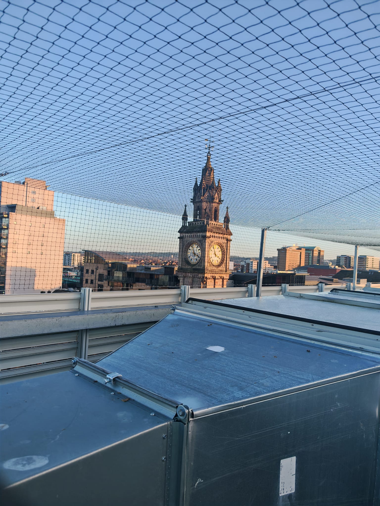 Bird netting installation