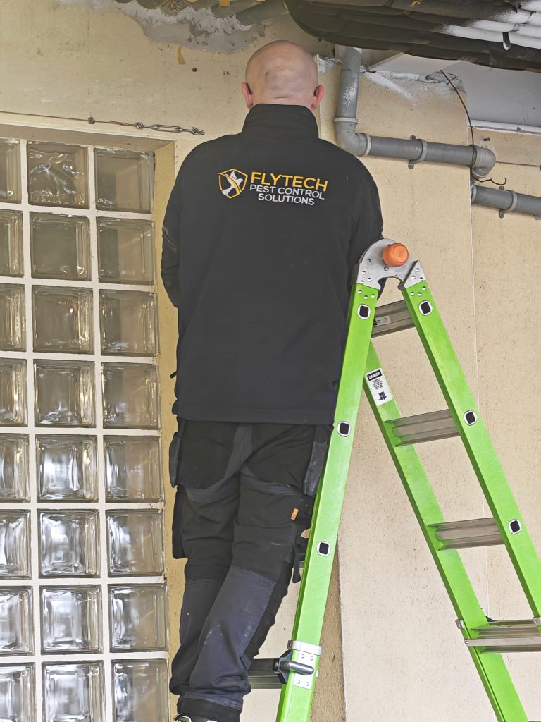 Flytech technician on a ladder