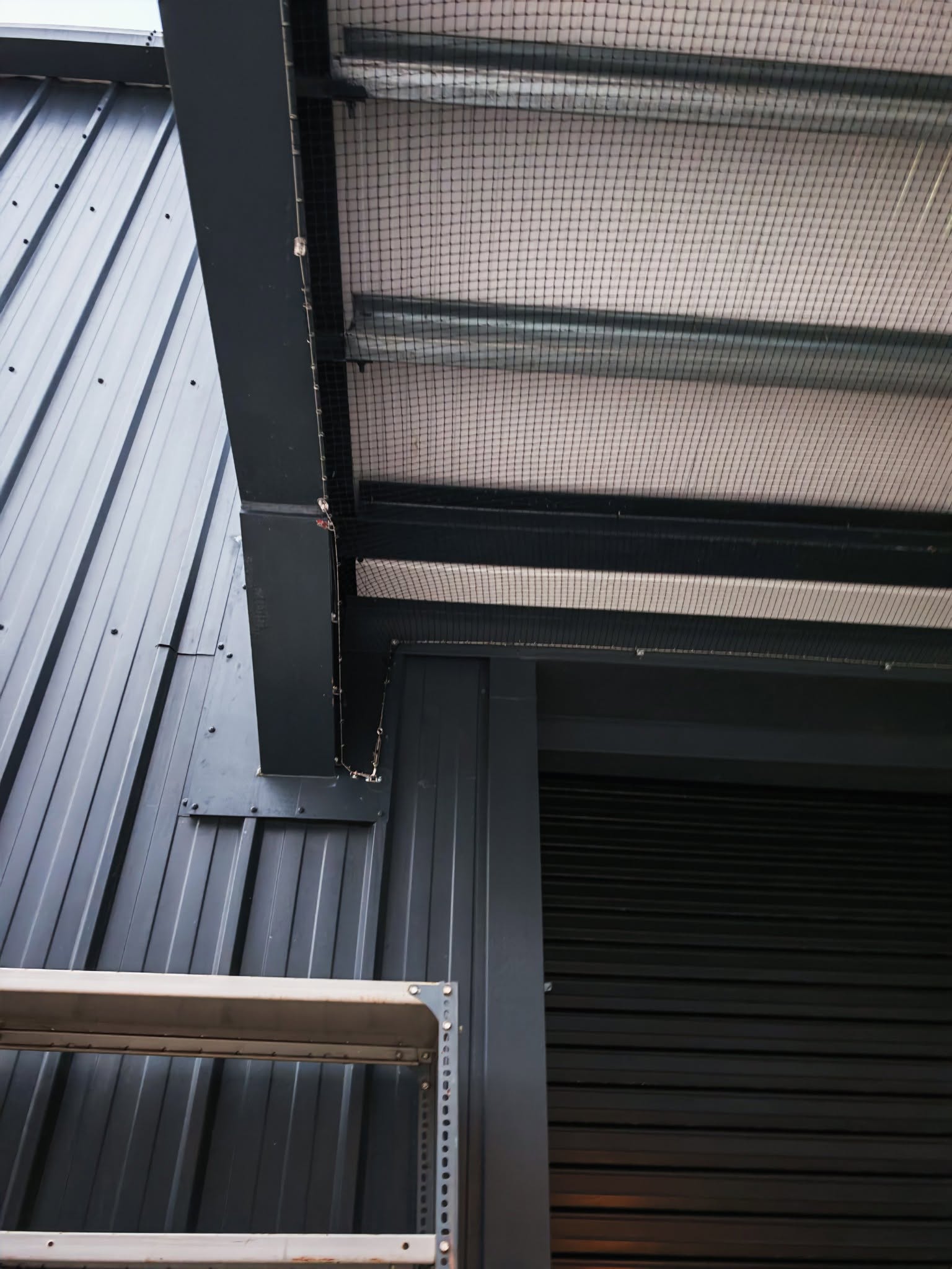 Jackdaw netting installed on commercial building roof