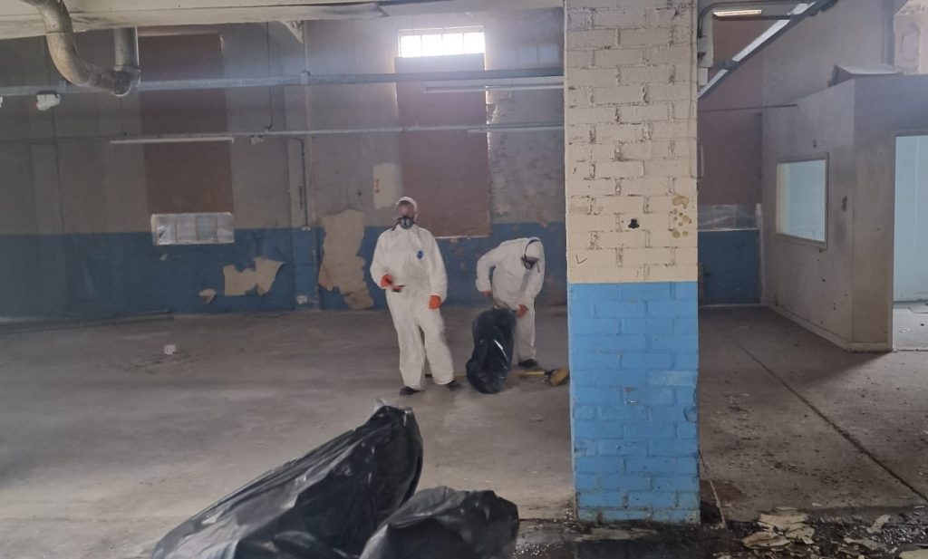 A pair of pest technicians in protective clothing removing bird droppings 