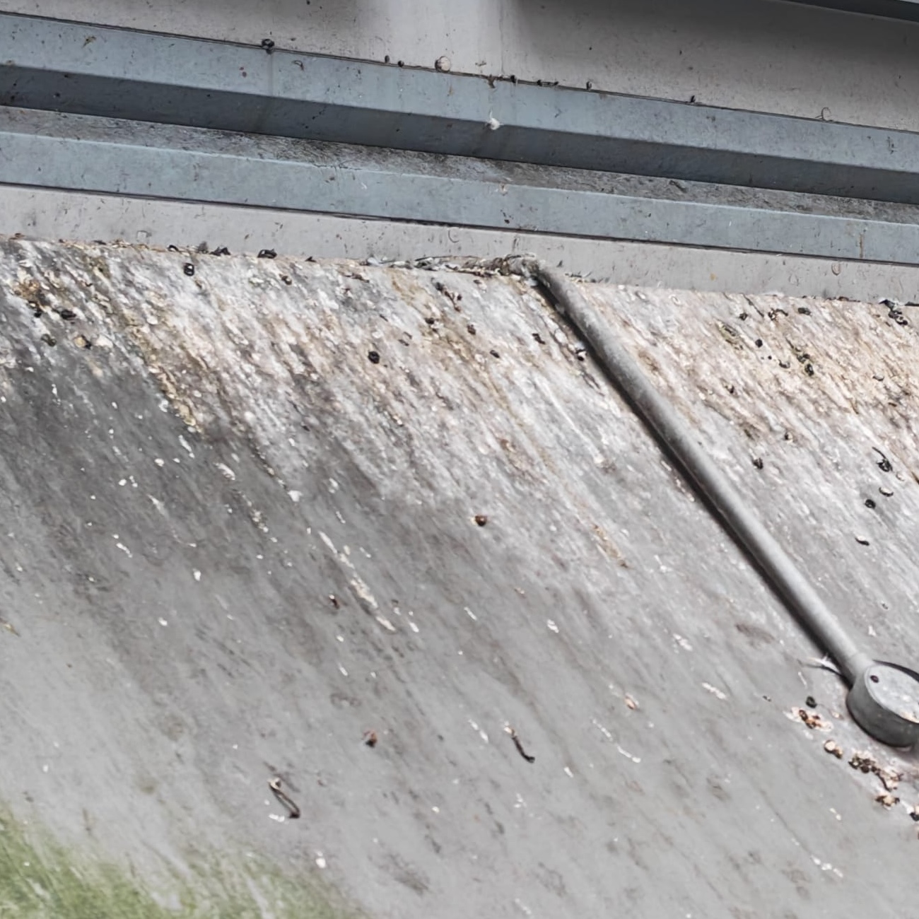 A concrete wall covered in bird droppings 